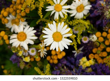 Bouquet Fleurs Champs Stock Photos Images Photography