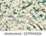 Bright flower pattern
