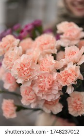  Bright And Fresh Apricot Dianthus