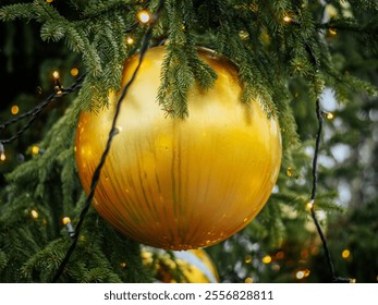 A bright golden Christmas ornament, adorned with water droplets, hangs on a green fir branch, surrounded by glowing lights and a festive outdoor atmosphere. - Powered by Shutterstock