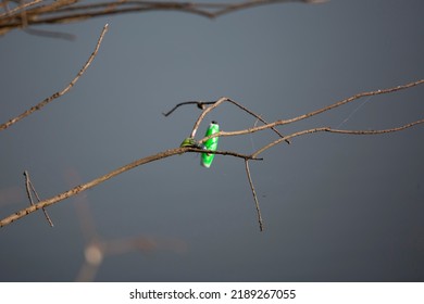 Bright Green Bobber Floating At The Top Of Water