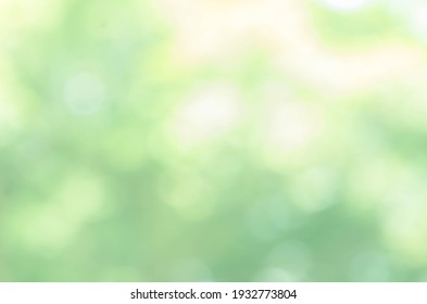 Bright Green Bokeh Nature Background