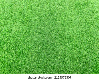 The Bright Green Color Of The Artificial Turf Grass(artificial Grass)on The Floor, Very Popular For Use Instand The Real Grass Because More Stronger Then And Can Use For Long Time And Easy To Cleaning