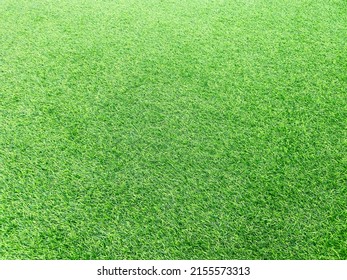 The Bright Green Color Of The Artificial Turf Grass(artificial Grass)on The Floor, Very Popular For Use Instand The Real Grass Because More Stronger Then And Can Use For Long Time And Easy To Cleaning