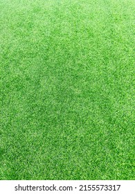 The Bright Green Color Of The Artificial Turf Grass(artificial Grass)on The Floor, Very Popular For Use Instand The Real Grass Because More Stronger Then And Can Use For Long Time And Easy To Cleaning