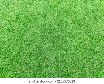 The Bright Green Color Of The Artificial Turf Grass(artificial Grass)on The Floor, Very Popular For Use Instand The Real Grass Because More Stronger Then And Can Use For Long Time And Easy To Cleaning