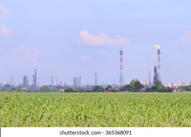 Bright Green Field With Corn And Oil Refinery On Horizon At Sunny Summer Day