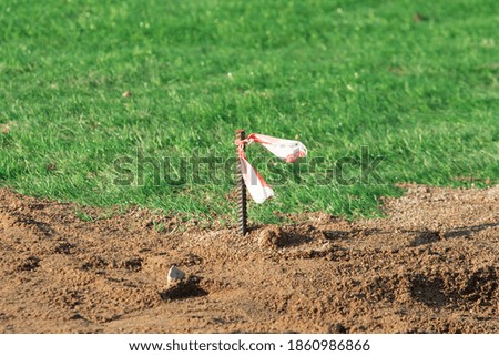 Similar – Image, Stock Photo stilt barrel Animal