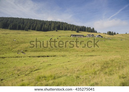Bright green landscape with forests and buildings on the Asiago Plateau in Italy