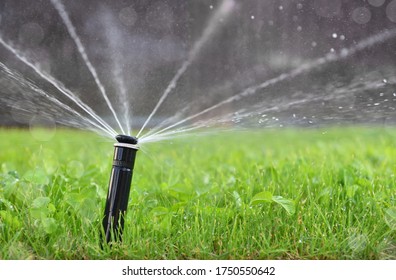 Bright green lawn poured with fresh water with a spray. Automatic watering the lawn.