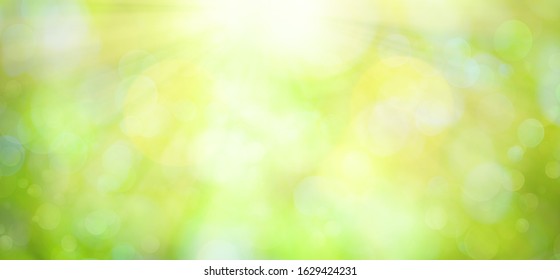 Bright green spring or summer blurred background.Easter natural background with copy space.