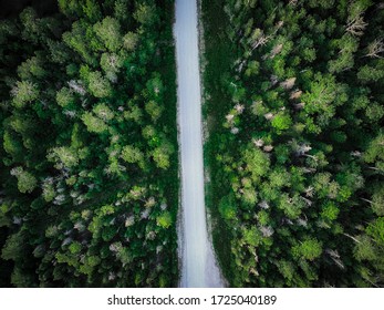 Bright green trees and gravel country road from drone above view high up.