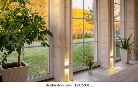 Bright Interior Of The Room In Wooden House With A Large Window Overlooking The Autumn Courtyard. Golden Autumn Landscape In White Window. Home And Garden, Fall Concept. Plant Sansevieria Trifasciata