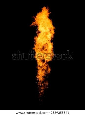 Bright isolated flame column, fire tongue goes from flamethrower 