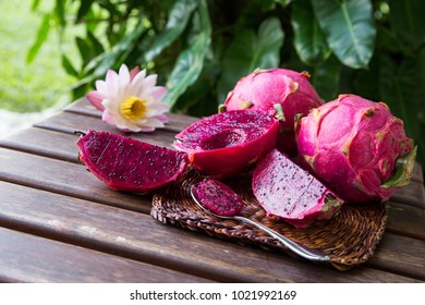 bright juicy tropical red dragon fruit. Dragon fruit or Pitaya is the plant in Cactaceae family or Cactus