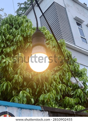 Bright lamp infront of tree