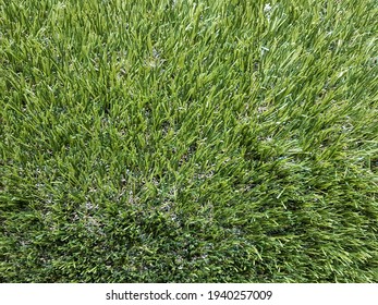 Bright And Light Artificial Grass For Decoration On The Balcony And Backyard