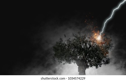 Bright lightning hit the tree