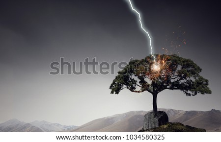 Bright lightning hit the tree
