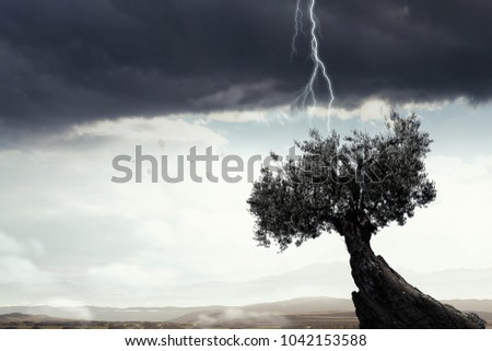 Bright lightning hit the tree