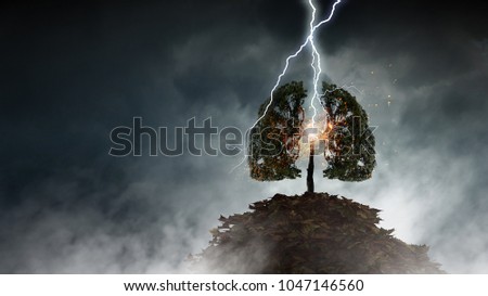 Bright lightning hit the tree