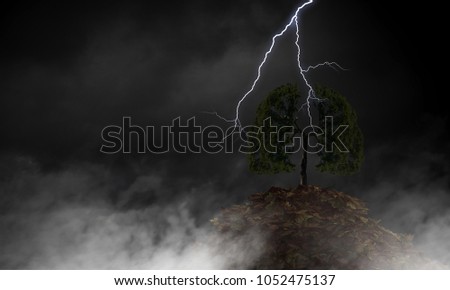 Bright lightning hit the tree