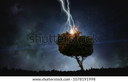 Bright lightning hit the tree
