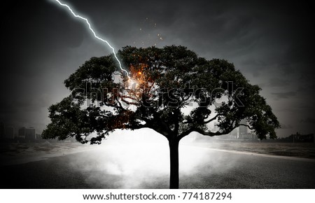 Bright lightning hit the tree