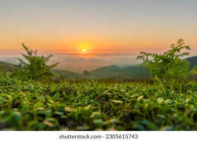 Bright low angle nature shot of a sunset in the mountains. Green grass in focus in foreground, and defocused background. Copy space provided. Location: Mount Foia in Monchique, Portugal.