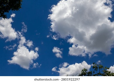 A bright low angle view looking up at fluffy cumulus clouds scattered across a rich blue sky. The composition features green tree branches framing the corners, sharp details, and a feeling of absolute freedom with nobody.