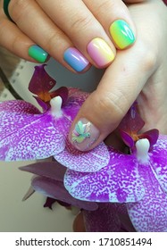 bright manicure design smooth transition gradient the nails ombre short nails stylish design different colors gel polish   beautiful drawing bird