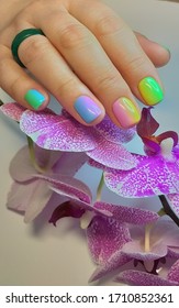bright manicure design smooth transition gradient the nails ombre short nails stylish design different colors gel polish   beautiful drawing bird