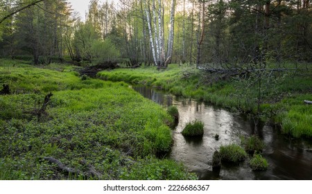 Bright May greens. Picturesque landscape with a small river. Evening pacifying landscape with a river and trees. - Powered by Shutterstock