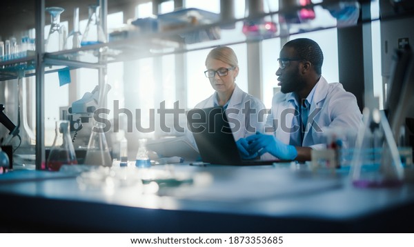 Bright\
Medical Science Laboratory with Diverse Team of Research Scientists\
Working. Young Female Microbiologist Talks to a Male Biochemist\
about New Good Test Results. High-Tech\
Equipment.