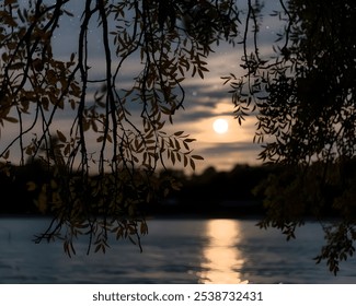 Bright Moon Casting A Long Reflection On The Ocean or River. May Be  Best Photo Of Your Next Projects - New Year #Nature #FullMoon #Star #Ocean #Natural  - Powered by Shutterstock