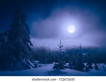 Moonlight Stock Images, Royalty-Free Images & Vectors | Shutterstock