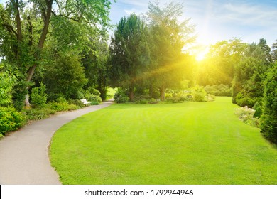 Bright morning sun illuminates beautiful garden with large meadow and walking path.