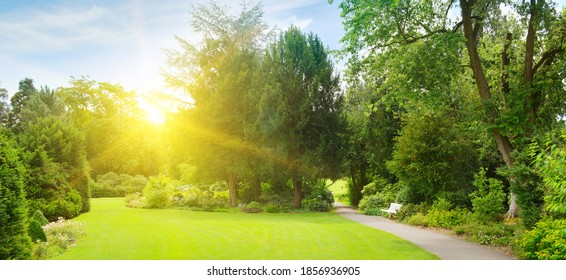 Bright morning sun illuminates garden with meadow and walking path.