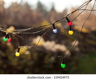 Bright Multi-colored Fairy Lights In The Garden