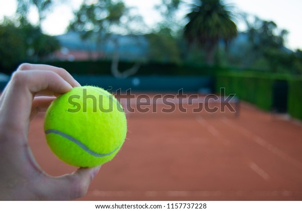 Bright Neon Green Tennis Ball Outdoors 