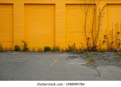 A Bright Orange Exterior Brick Wall With Garage Openings Or Bays That Have Been Enclosed With Bricks. The Foreground Is Paved With Some Weeds And Plants Growing Up Along The Edge Of The Building.