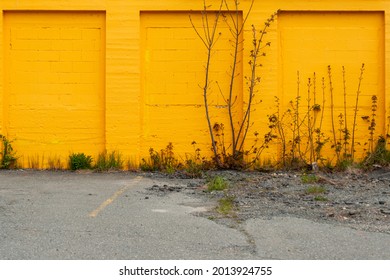 A Bright Orange Exterior Brick Wall With Garage Openings Or Bays That Have Been Enclosed With Bricks. The Foreground Is Paved With Some Weeds And Plants Growing Up Along The Edge Of The Building.