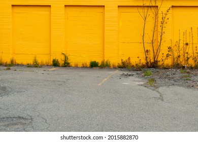 A Bright Orange Exterior Brick Wall With Garage Openings Or Bays That Have Been Enclosed With Bricks. The Foreground Is Paved With Some Weeds And Plants Growing Up Along The Edge Of The Building.