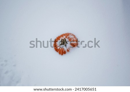 A bright orange pumpkin is surrounded by fluffy white snow