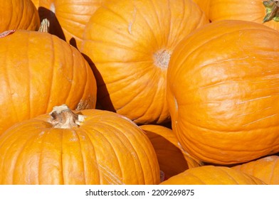 Bright Orange Pumpkins Outside Of Market Closeup