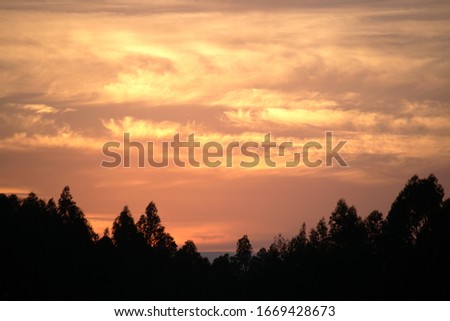 Bright orange sky with puffy clouds swirling in the sky and black silhouettes of tress on the bottom.