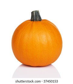 Bright Orange Sugar Pie Pumpkin, Great For Baking Pie