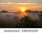 Bright Orange Sun Rises Over Foggy Morning In The Everglades National Park