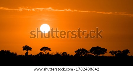 Bright orange sunrise over the bushveld of Africa