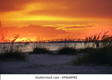 The bright orange sunset with grasses on the beach in Ft. Myers Beach, Florida in the summer.